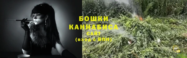 ГАЛЛЮЦИНОГЕННЫЕ ГРИБЫ Покачи