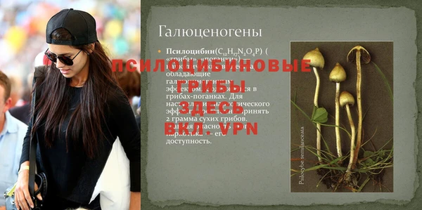 mix Абаза
