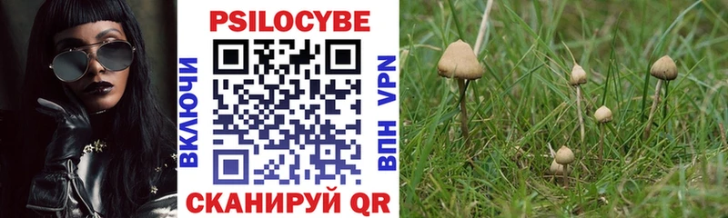 цена наркотик  Агидель  Галлюциногенные грибы GOLDEN TEACHER 